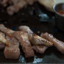 방목흑돼지 이미지