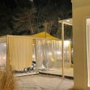 자연의 미학 이미지