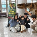 주니삼촌 공룡애니멀쇼 시즌2 이미지