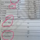 당화혈색소 정상수치 낮추기 방법 (실제 고객 체험 후기)