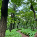 진안고원치유의숲 이미지