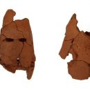 금산리방대형고분 이미지