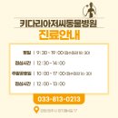 키다리아저씨 동물병원 이미지