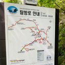 금산약국 이미지