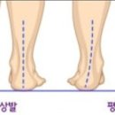 운동제이짐