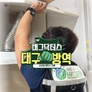 버그닥터스