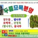 강림면344 이미지