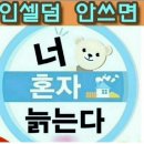 인셀덤더예쁜
