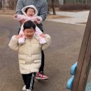 셔니대디 | 20260316 14:39