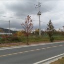 광산구-143 네이버블로그