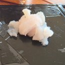 태학산 오토캠핑장 남자화장실 | 아이와 욕지도 청보리 캠핑장 낚시와 바다뷰 오토캠핑 후기