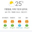 🌈 포항날씨 🌤 이미지