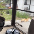 안대머리농가민박 | 보령 촌캉스 숙소 | 에어비앤비 ‘안대머리 민박’ 추천 후기(jyp 니쥬도 다녀감!)