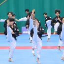 용인대 경연 태권도장 이미지