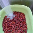 대성산 사슴농장 이미지