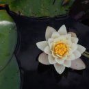 바른손한의원 이미지