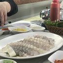 해뜨는집 | 당진 한진포구 횟집 해뜨는집 내돈내산 후기 (멍게 광어 우럭 매운탕)