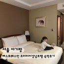 베스트 웨스턴 프리미어 강남호텔 | 베스트웨스턴 프리미어 강남 : 신논현 근처 3성급 호텔 5살 아이랑