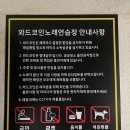 와드코인노래연습장 이미지