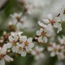 화락고기집 이미지