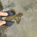 장화 | NS블랙홀 낚시장화 사용 후기!