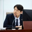 BTL 카카오 검색결과
