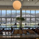 필무드(fillmood) | 파주 대형카페 마장호수 근처 애견동반카페 필무드 내돈내산 솔직후기