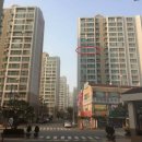 청솔온누리약국 이미지