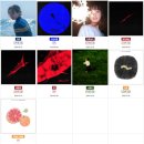 수 (수노래클럽) | 한로로 자몽살구클럽 콘서트 후기