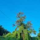 판교모아공인중개사사무소 이미지