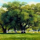 에스디플랜 이미지
