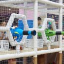 잭슨나인스 이미지