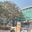 [결혼 정복기] 혼인신고 후기 : 서류 준비부터 구청 방문까지(Feat. 은평구청)