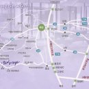 반도스파인 이미지