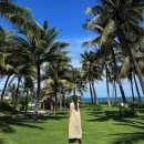 승모농장 | 나트랑 리조트 추천 [퓨전리조트]수영장 조식 마사지 내돈내산 후기