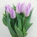 풍국농장 이미지