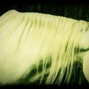 명심민박 이미지