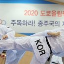 올림픽 태권도 이미지