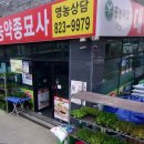 대광종묘사 이미지