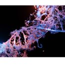 화순현대요양병원 이미지