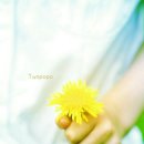 굴다리손칼국수 이미지