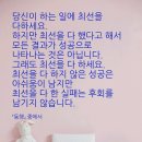 은송이네 Daum카페