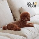 일룸부산