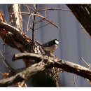 벽적골공원 이미지