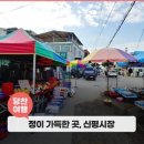 신평시장 티스토리