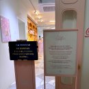 성수동 러블리한 디저트 맛집 핫플 카페 데이지크