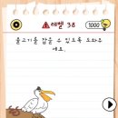 스타브레인 이미지