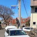 퐁낭아래 1978 이미지