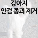 동물병원예지 이미지