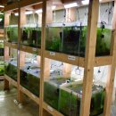 상경농장 이미지